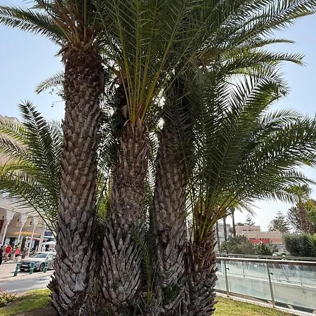 Mila Sloneczny W Centrum דירה